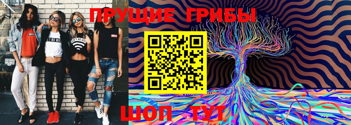 Ростов-на-Дону  Псилоцибиновые грибы Magic Shrooms  Вход с VPN 