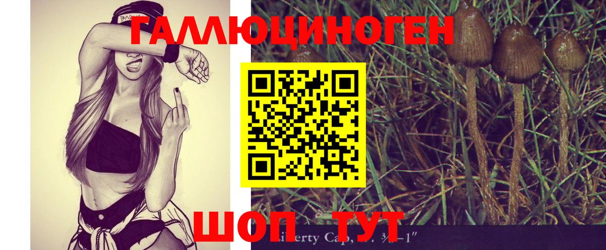 Галлюциногенные грибы ЛСД Ростов-на-Дону